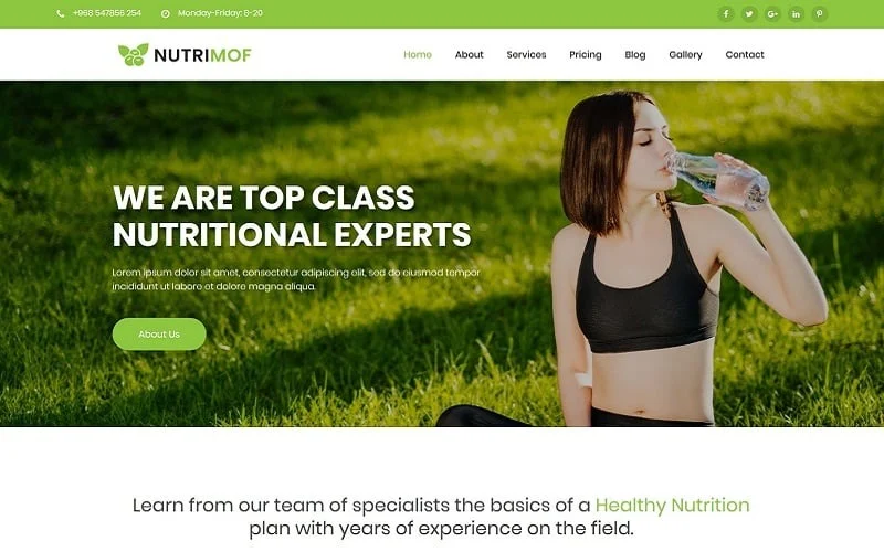 Nutrimof - Nutritional & Health Joomla TemplateNo No support Regular License